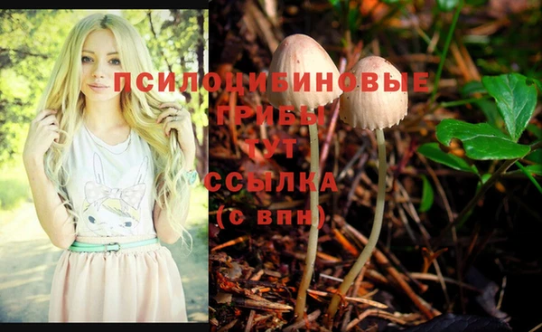 спиды Липки