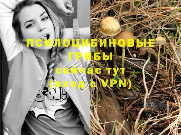 герыч Ладушкин