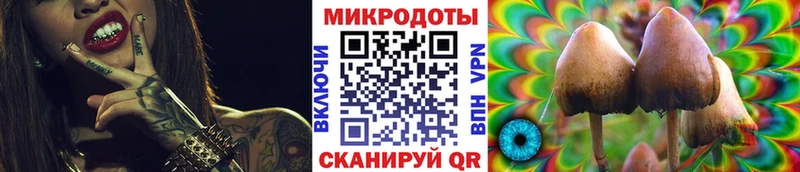 Псилоцибиновые грибы мицелий  Купить где  Белореченск 