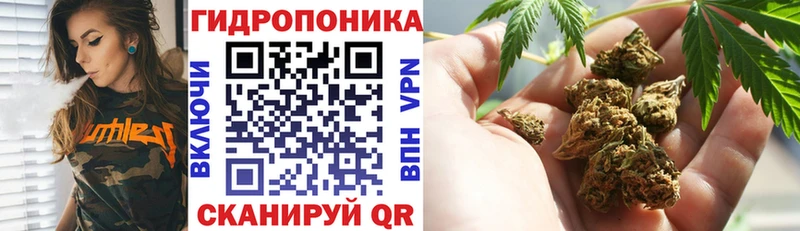 Купить где  Белореченск  Бошки Шишки OG Kush 